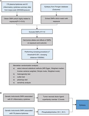 Role of inflammatory cytokine in mediating the effect of plasma lipidome on epilepsy: a mediation Mendelian randomization study